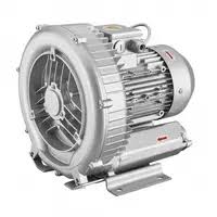 What is the history of Roots blowers? It was founded in 1854 by the inventors Philander Higley Roots and Francis Marion Roots